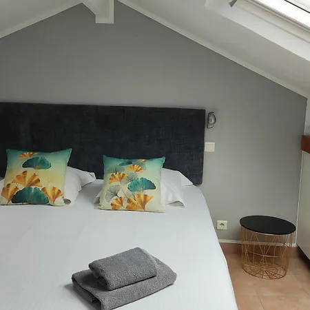Apartment Frgk - Entire Building In Cannes